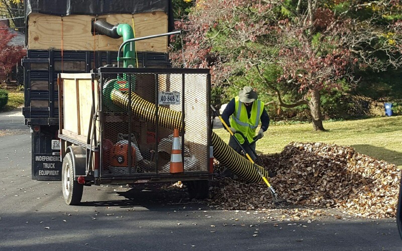 Revo Garden provides quality gardening, yard cleaning, lawn care and garbage disposal services in Alamo, Orinda, Danville, Lafayette, Moraga and Walnut Creek in California