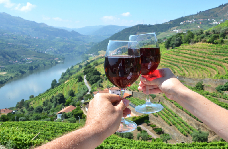 Douro Valley views from private wine tour