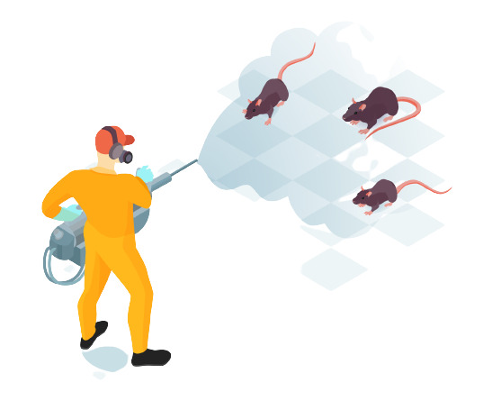 Pest Control Burleson is a leading provider of effective pest control solutions in Burleson, TX.
