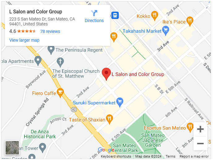 L Salon and Color Group