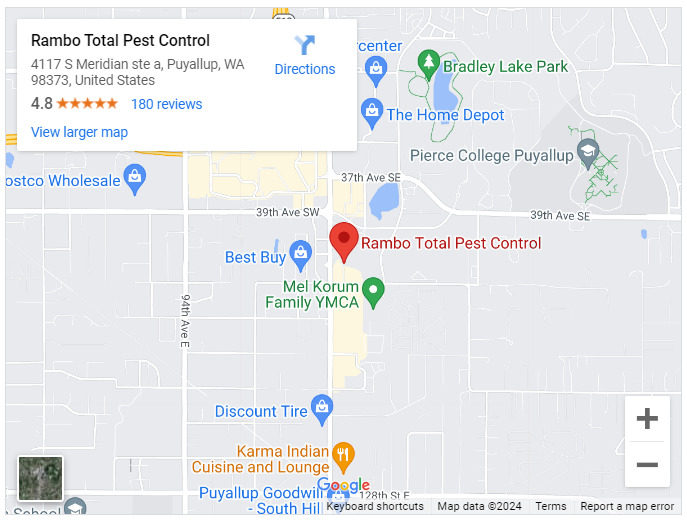 Rambo Total Pest Control