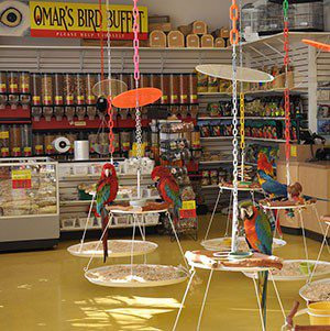 Founded by Omar Gonzalez, a renowned aviculturist, Omar’s Exotic Birds has been providing the highest quality care and products for exotic birds for nearly three decades.