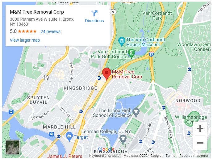 M&M Tree Removal Corp
