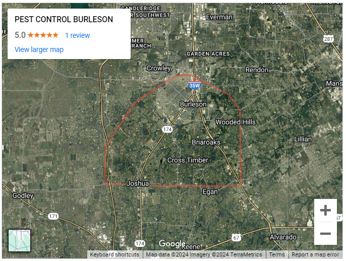 Pest Control Burleson Named One of the Top Pest Control Services in