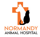 Normandy Animal Hospital is a trusted veterinary clinic in Jacksonville, FL, offering various pet care services with a focus on compassionate and professional service.