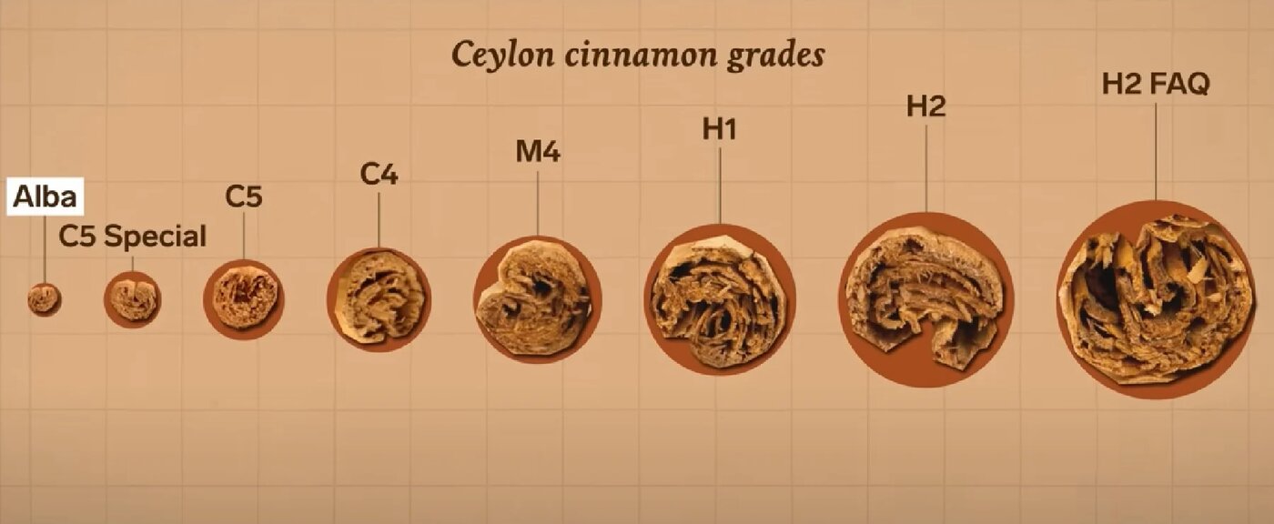 Druera is a leading provider of premium Alba grade Ceylon cinnamon, sourced directly from Sri Lanka.