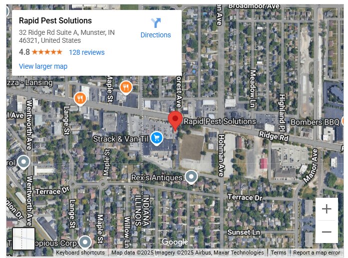 Rapid Pest Solutions