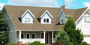 Blue Rhino Roofing provides residential and commercial roofing solutions for property owners navigating the demanding weather conditions of Southeast Texas.